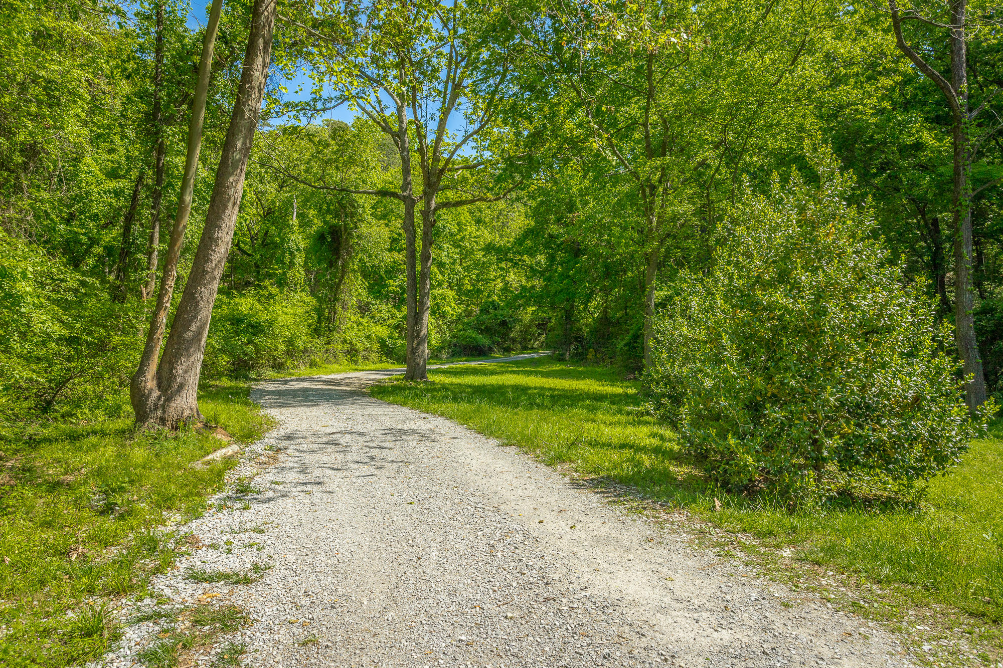 Foster Hixson Cemetery Rd. HD-1