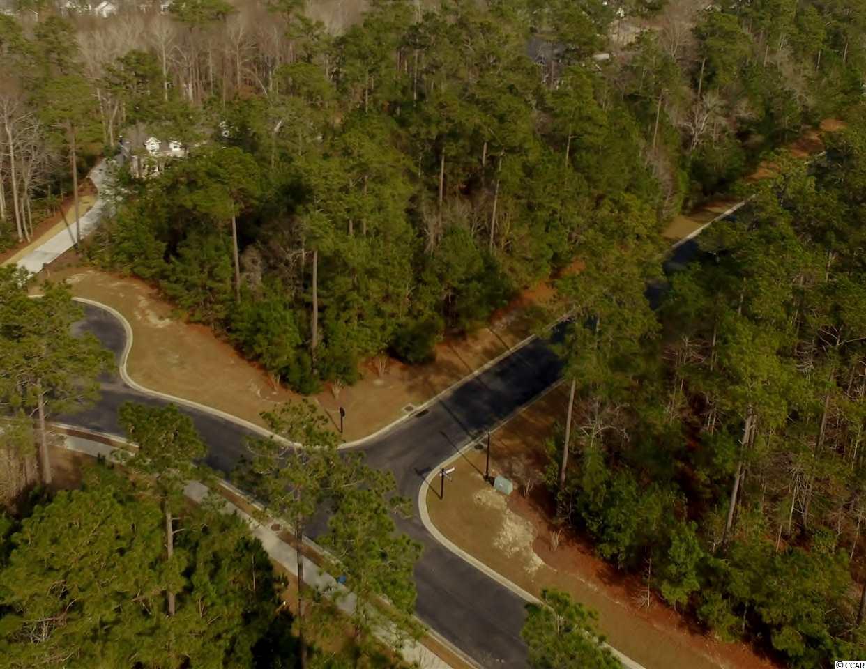 7 Cane Break Way Murrells Inlet, SC 29576 - Photo 15 of 34 Gallery Image 15