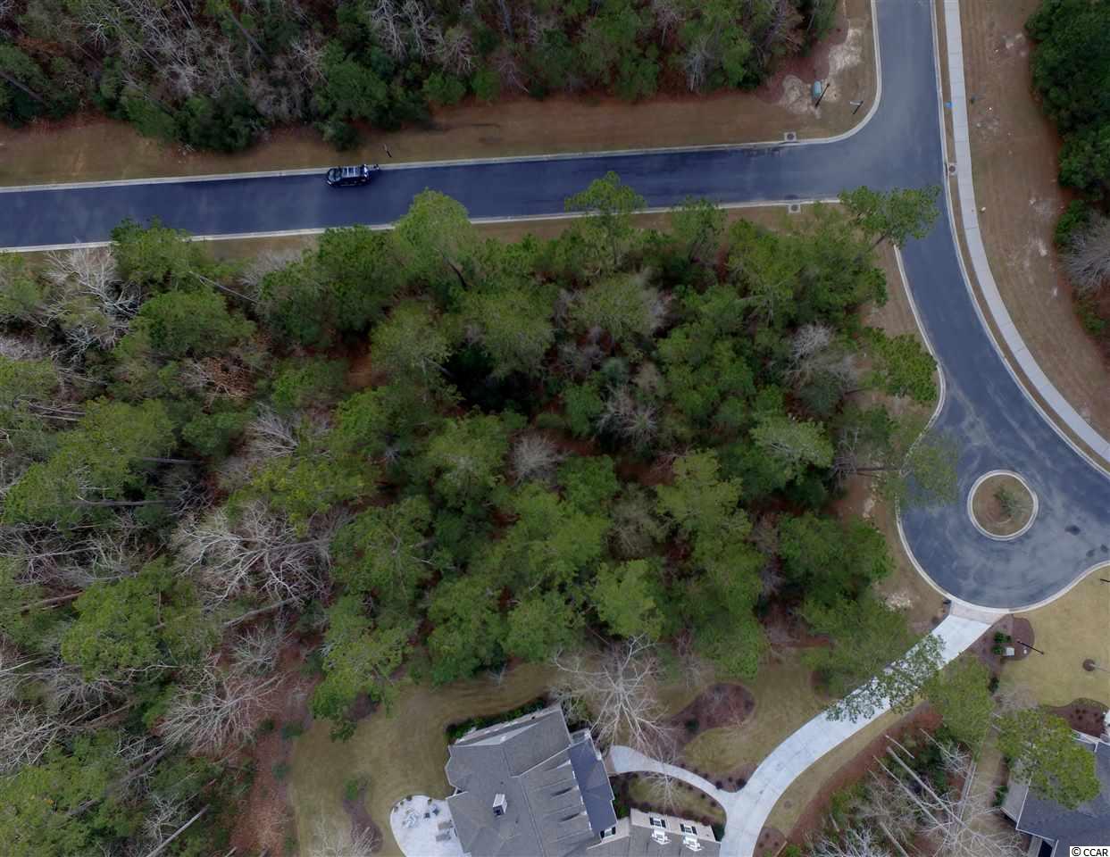 7 Cane Break Way Murrells Inlet, SC 29576 - Photo 16 of 34 Gallery Image 16