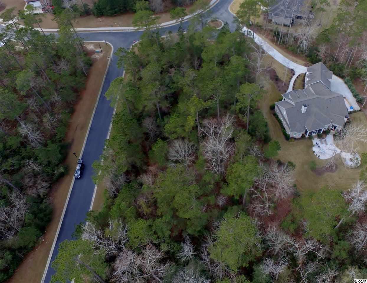 7 Cane Break Way Murrells Inlet, SC 29576 - Photo 17 of 34 Gallery Image 17