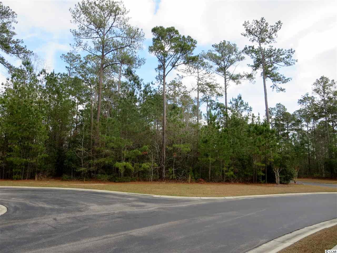 7 Cane Break Way Murrells Inlet, SC 29576 - Photo 20 of 34 Gallery Image 20
