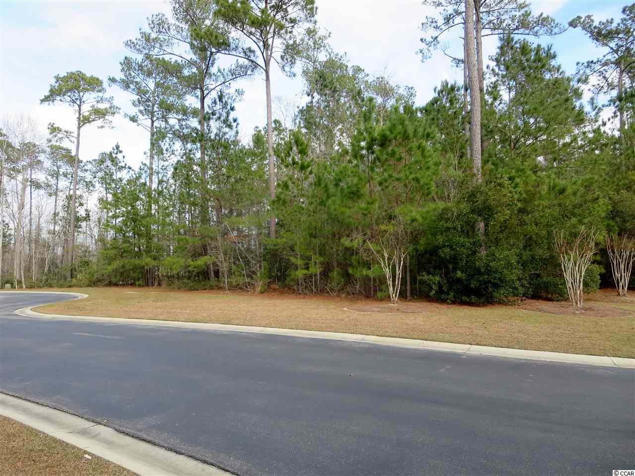 7 Cane Break Way Murrells Inlet, SC 29576 - Photo 21 of 34 Gallery Image 21