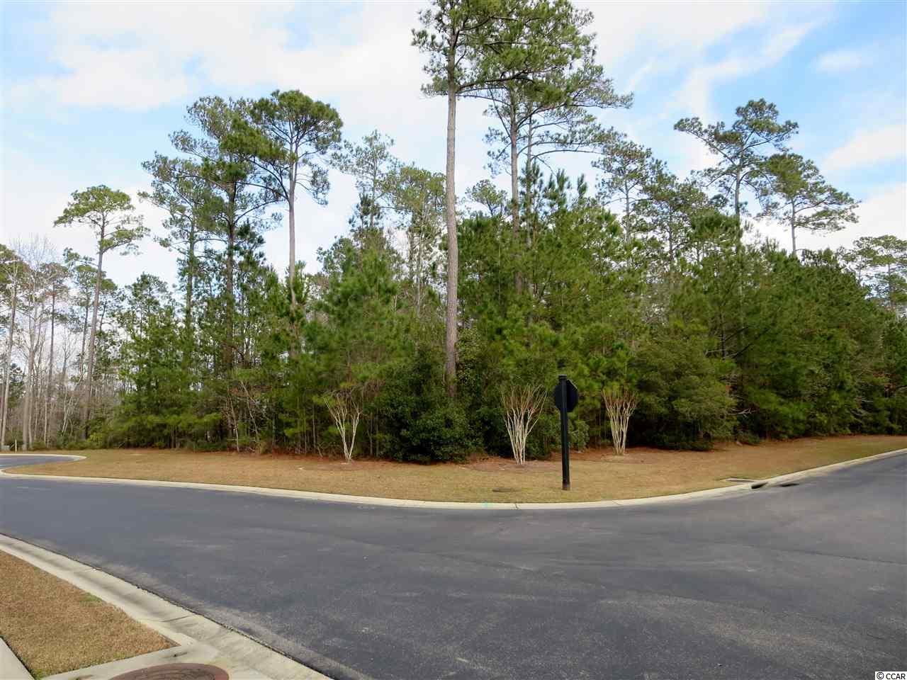 7 Cane Break Way Murrells Inlet, SC 29576 - Photo 22 of 34 Gallery Image 22