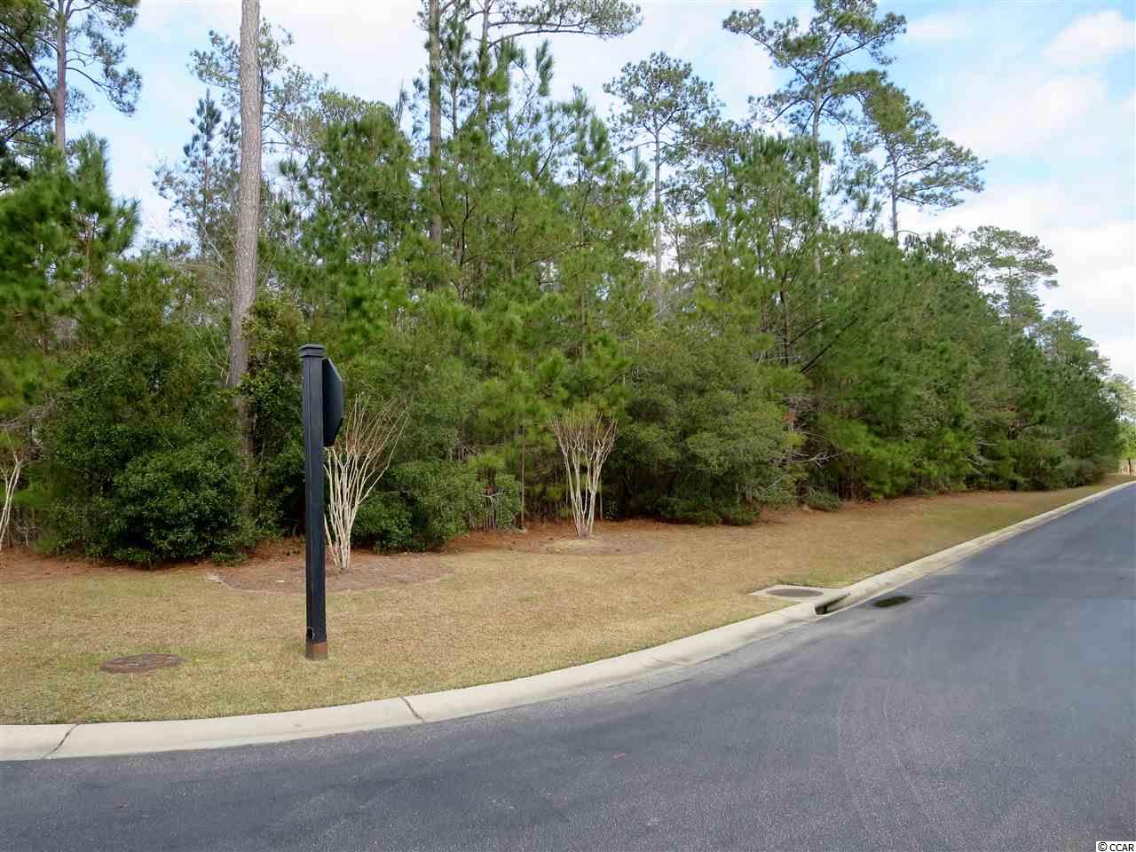 7 Cane Break Way Murrells Inlet, SC 29576 - Photo 23 of 34 Gallery Image 23