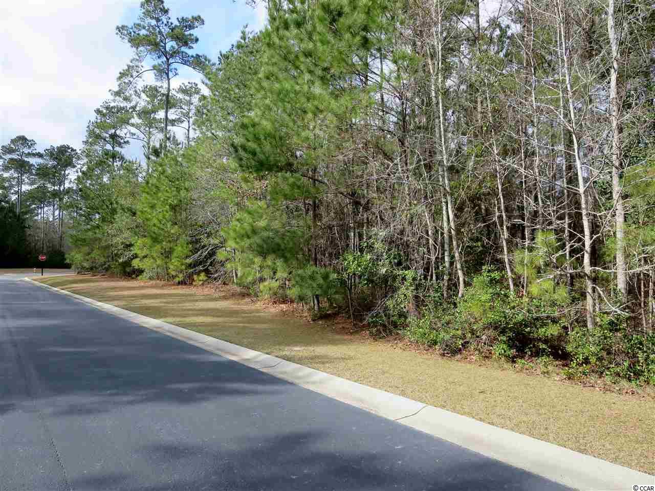 7 Cane Break Way Murrells Inlet, SC 29576 - Photo 24 of 34 Gallery Image 24