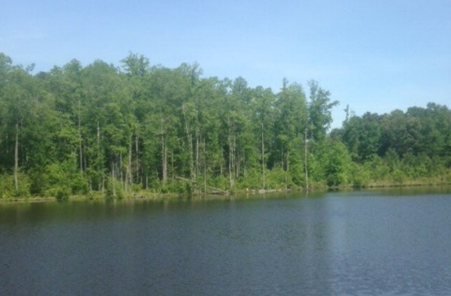 0 Swint Road Gibson, GA 30810 - Photo 1 of 1 Main View