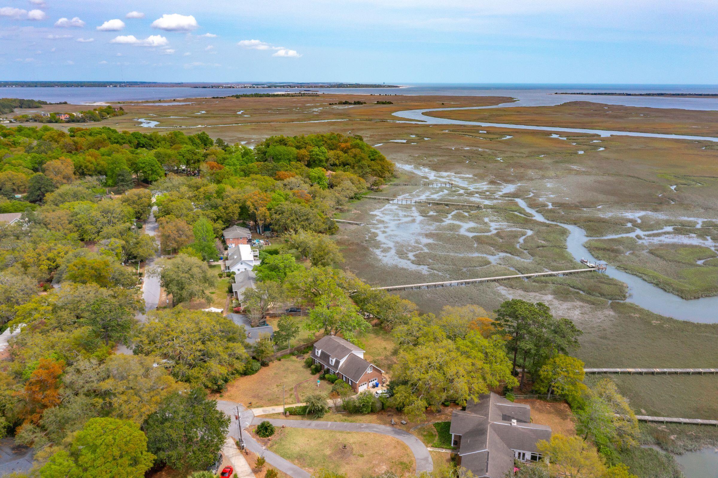 925 Preston Road Charleston, SC 29412 - Photo 8 of 24 Aerial