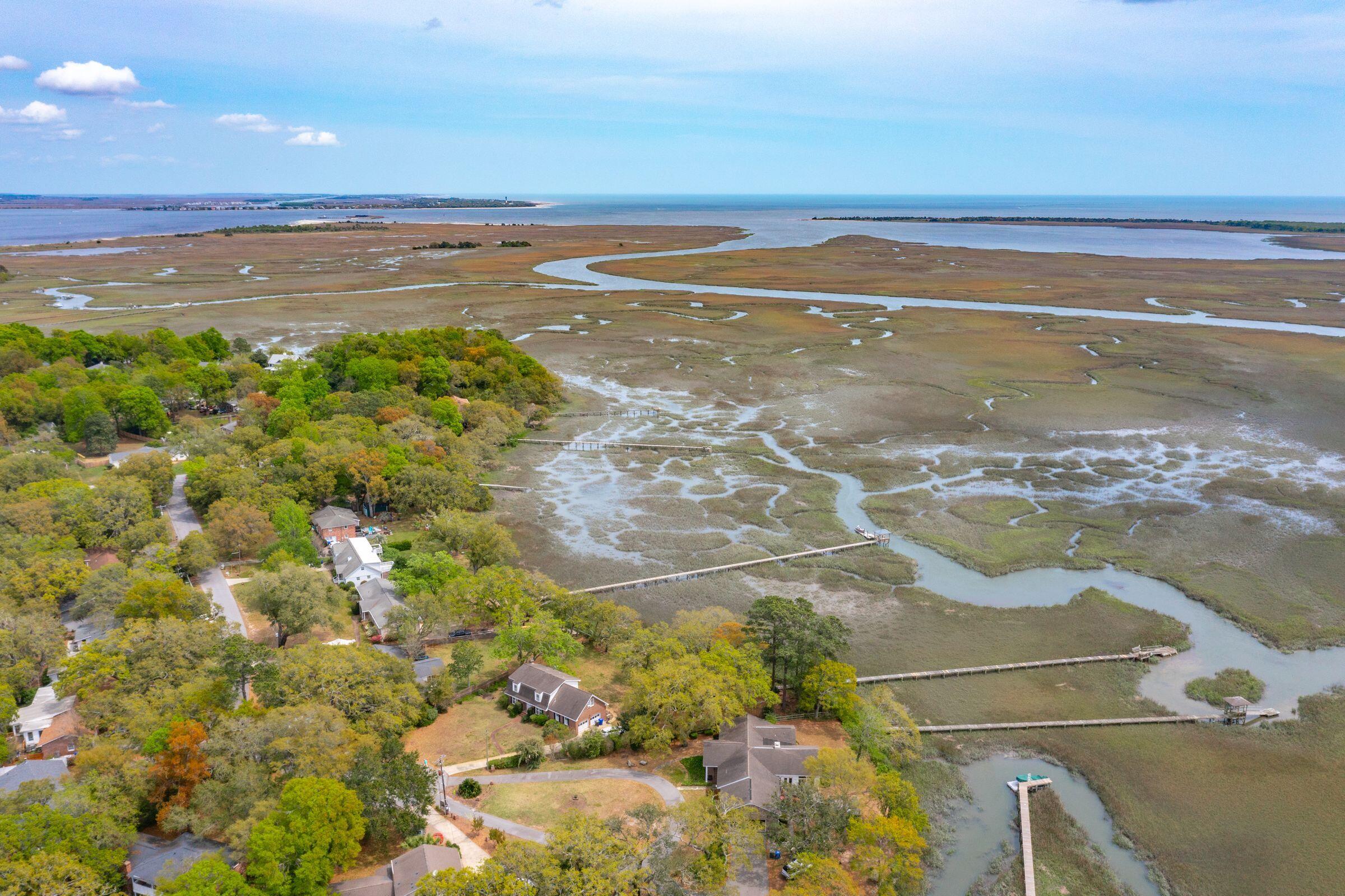 925 Preston Road Charleston, SC 29412 - Photo 9 of 24 Aerial