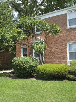623 Waukegan Road Deerfield, IL 60015 - Photo 1 of 16 a front view of a house with garden