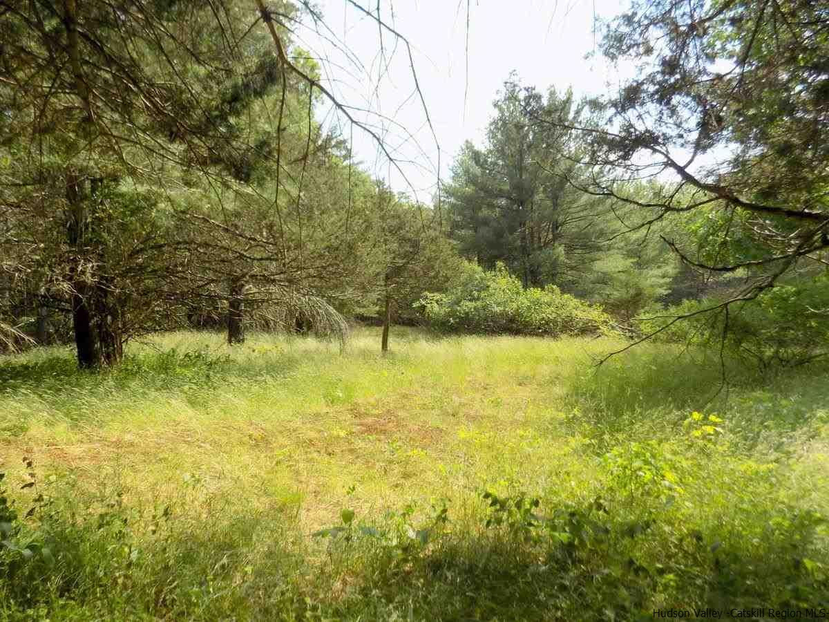 Tbd Tbd South Road Ruby, NY 12475 - Photo 1 of 9 Photo 1