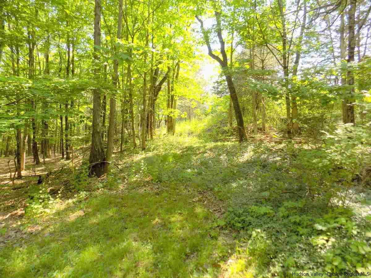 Tbd Tbd South Road Ruby, NY 12475 - Photo 4 of 9 Photo 4