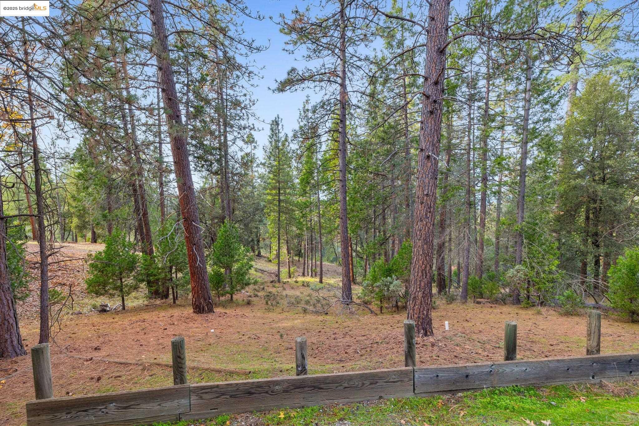 12087 Breckenridge Road Groveland, CA 95321 - Photo 25 of 31 a view of a yard with trees