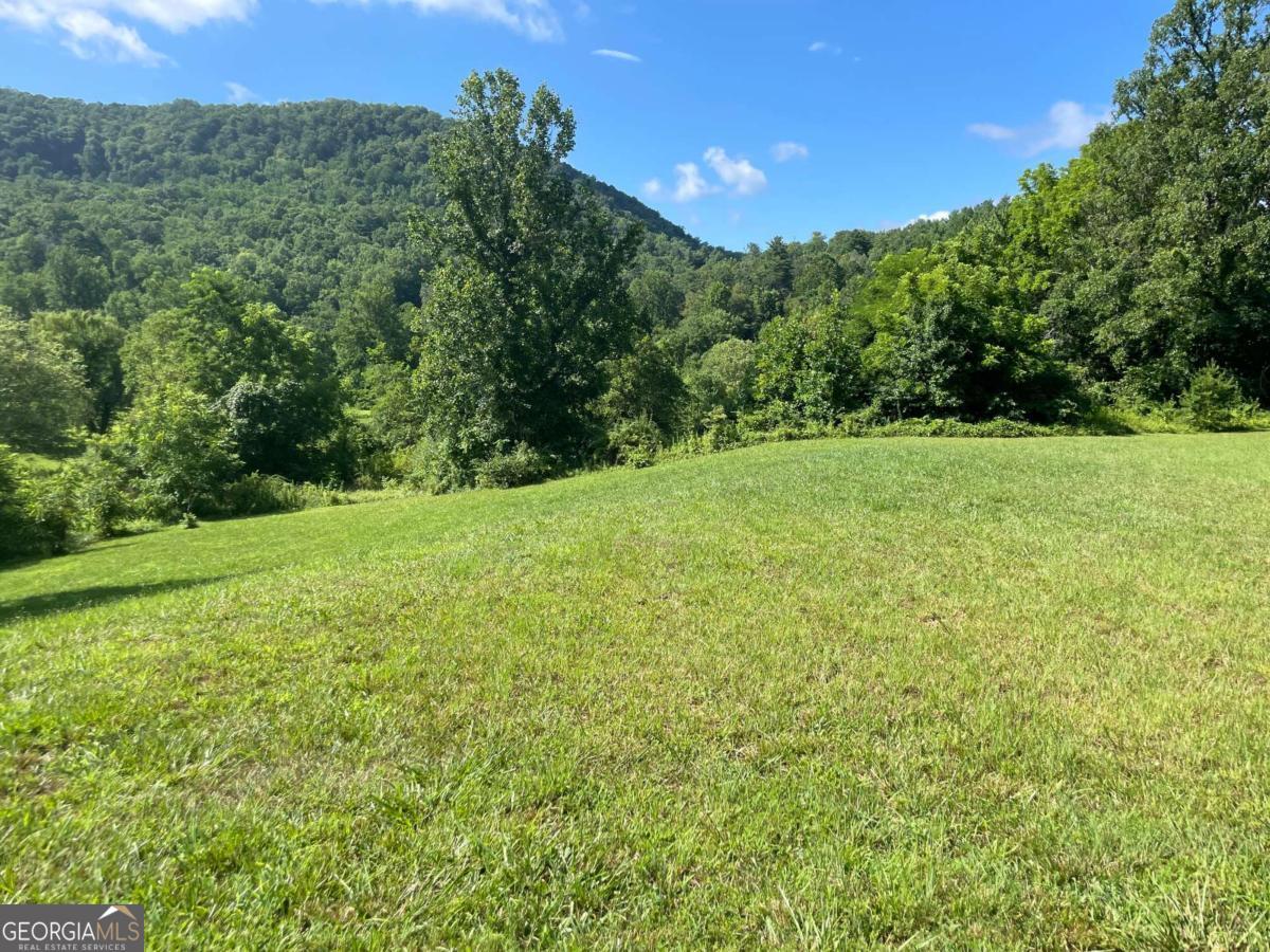 0 Mountain Ridge Drive Rabun Gap, GA 30568 - Photo 8 of 10