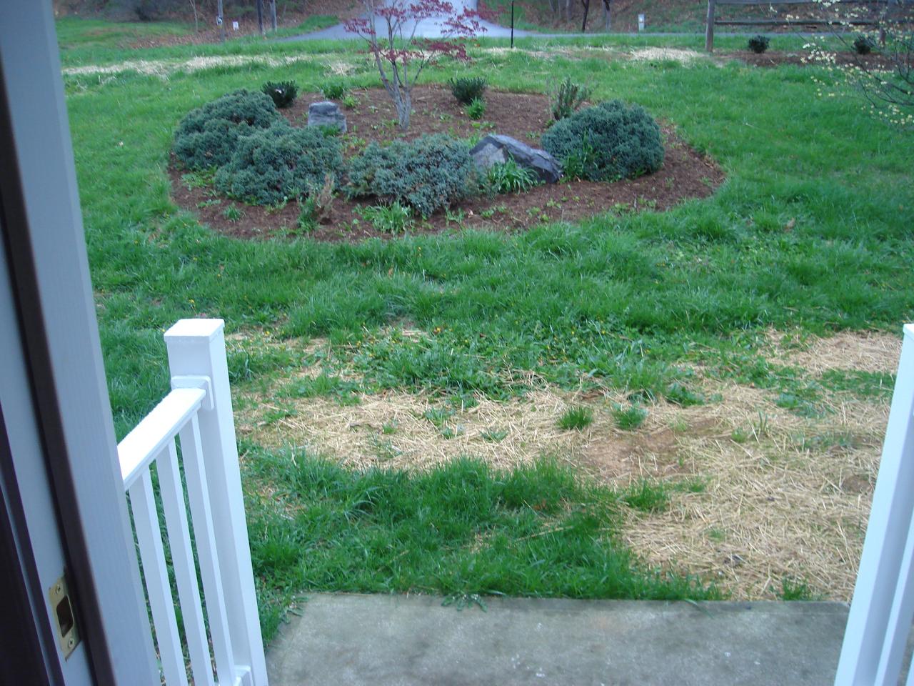 1109 Mountain Pass Road Blue Ridge, VA 24064 - Photo 17 of 18 a view of a backyard with pathway