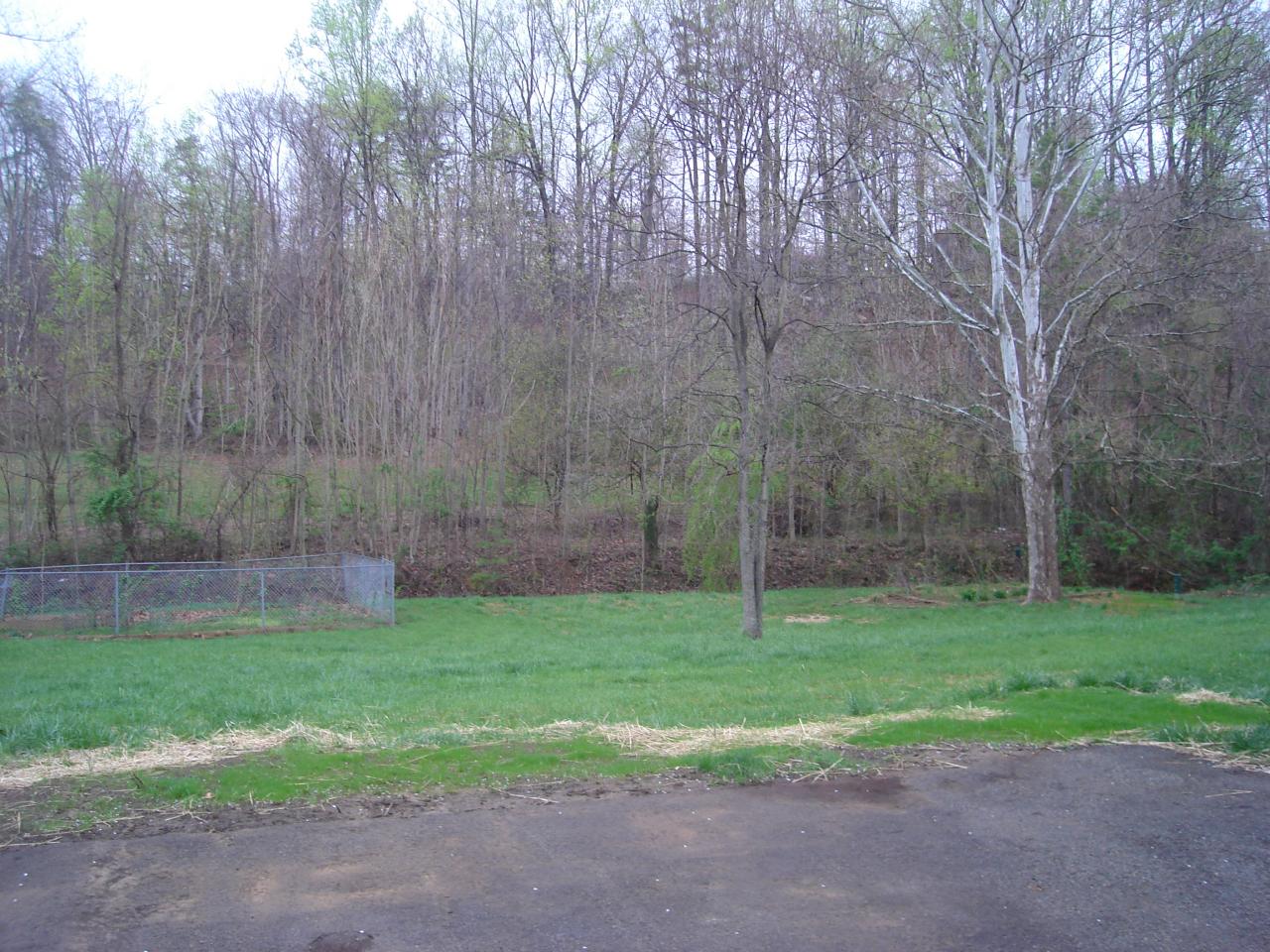 1109 Mountain Pass Road Blue Ridge, VA 24064 - Photo 5 of 18 a view of a backyard with large trees