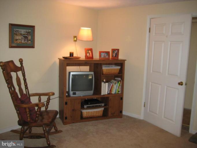 525 Summit Point Road Berryville, VA 22611 - Photo 24 of 29 Finished Lower Level 3