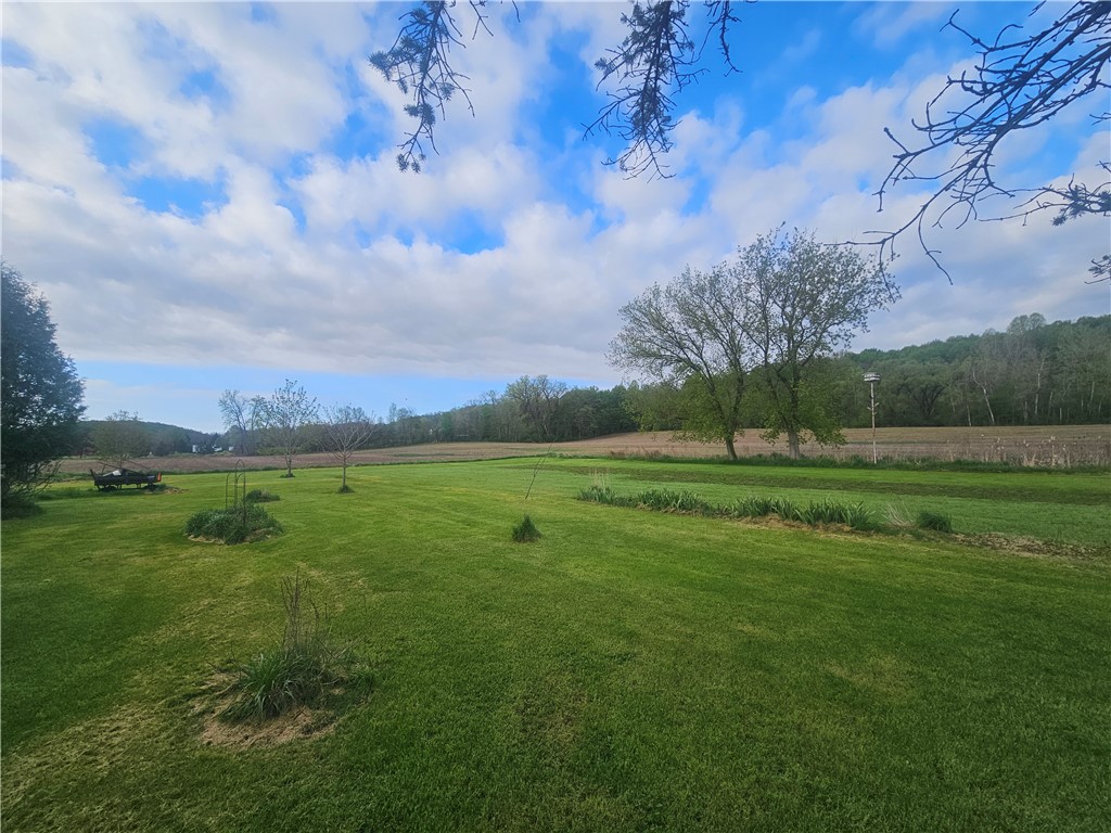 1537 Tyre ( Entire Parcel) Road Clyde, NY 14433 - Photo 36 of 39