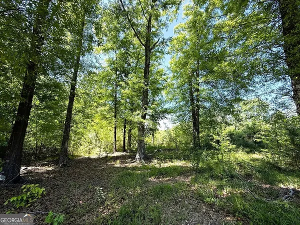 a view of backyard with green space