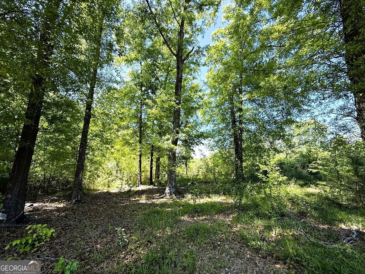 752 Old Mineral Springs Road Elberton, GA 30635 - Photo 1 of 10 a view of backyard with green space