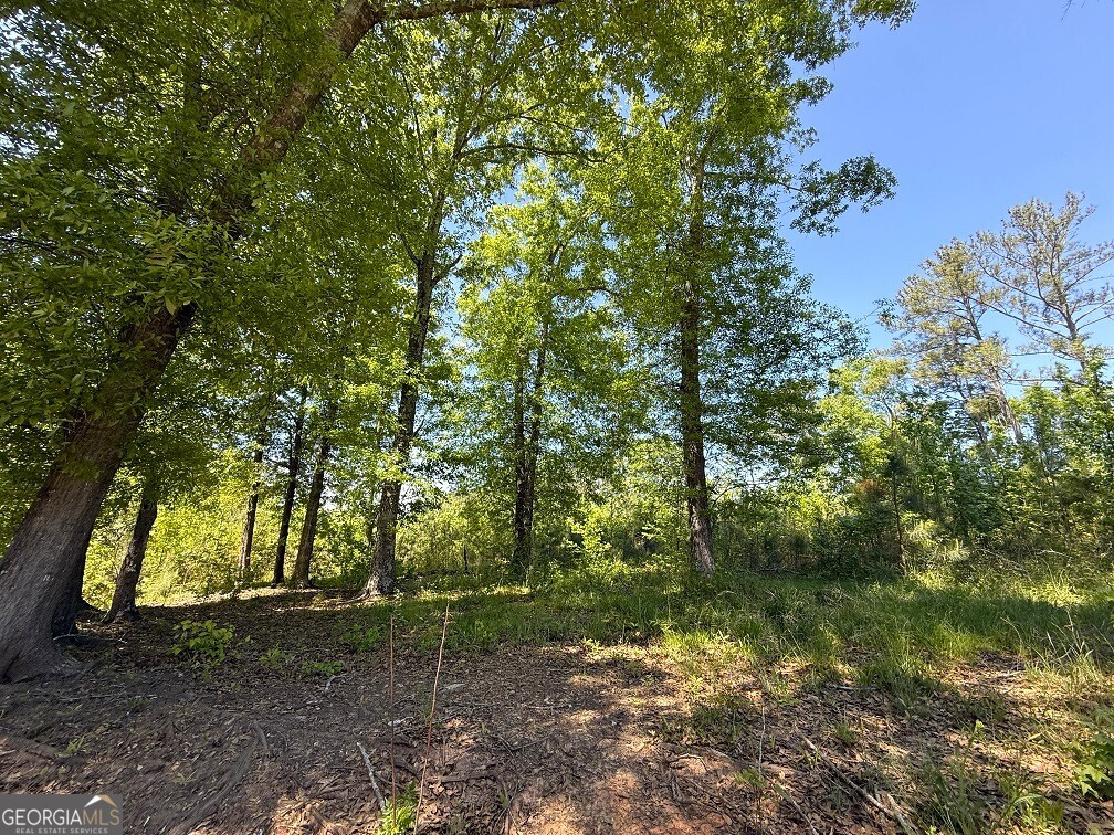 752 Old Mineral Springs Road Elberton, GA 30635 - Photo 2 of 10 a backyard of a house with lots of green space