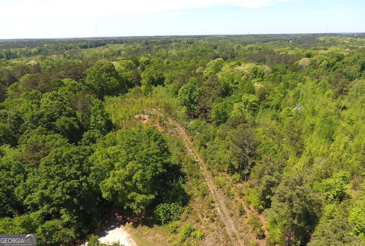 752 Old Mineral Springs Road Elberton, GA 30635 - Photo 3 of 10 an aerial view of residential houses with outdoor space and trees