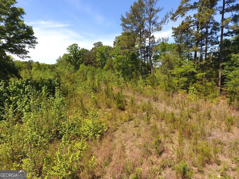 752 Old Mineral Springs Road Elberton, GA 30635 - Photo 4 of 10 a view of a yard with a tree