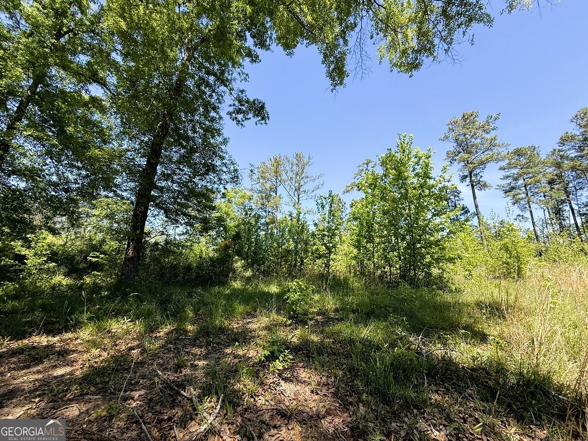 752 Old Mineral Springs Road Elberton, GA 30635 - Photo 5 of 10 a view of a garden