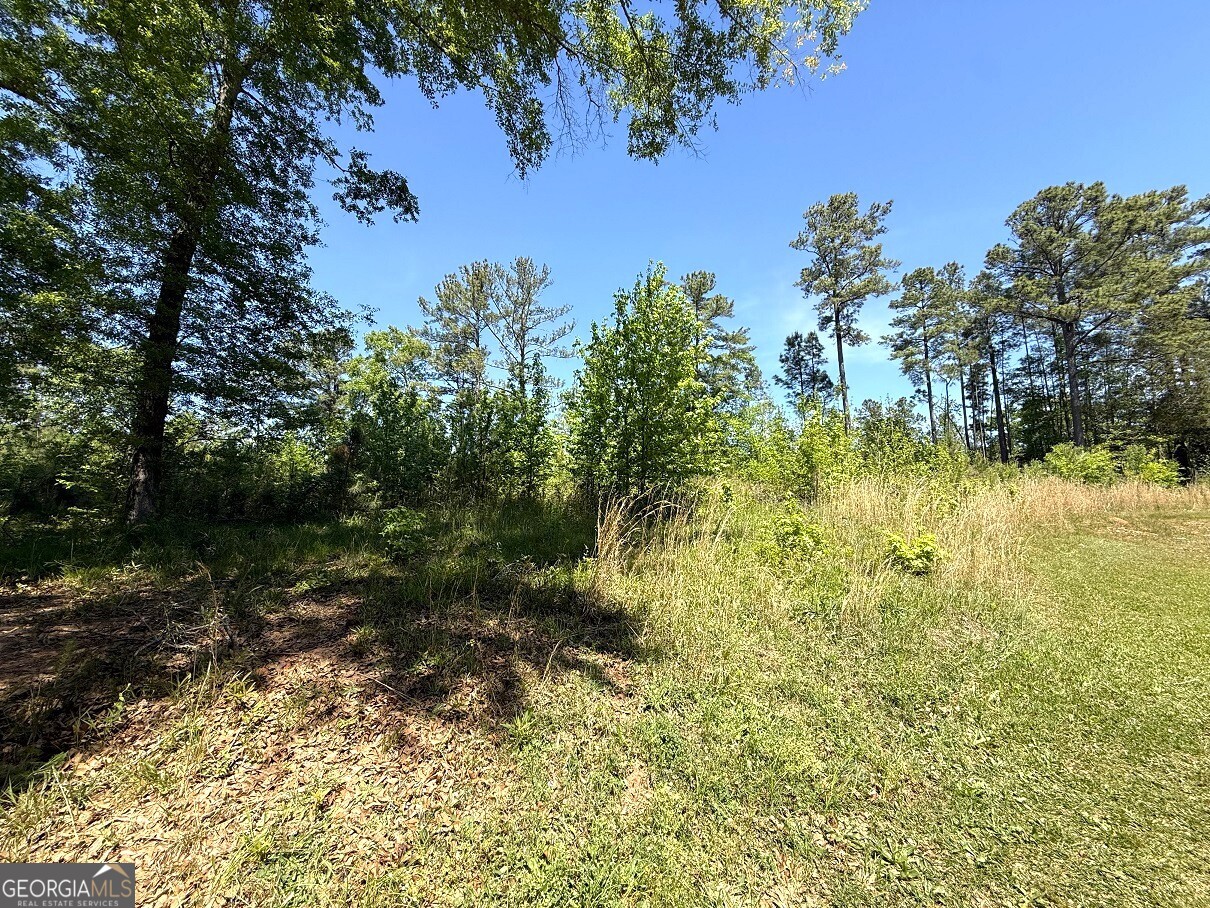 752 Old Mineral Springs Road Elberton, GA 30635 - Photo 6 of 10 a view of a yard