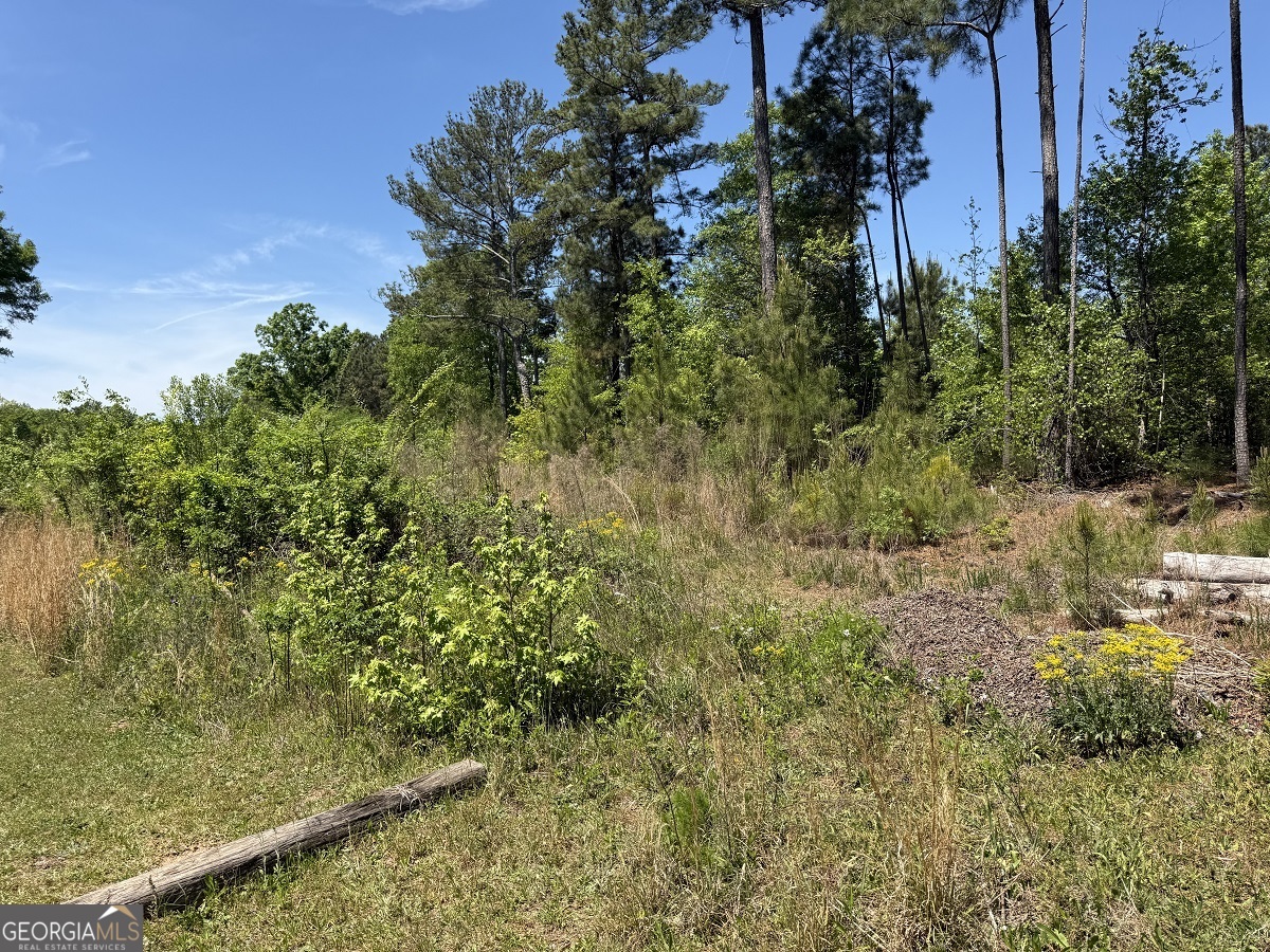752 Old Mineral Springs Road Elberton, GA 30635 - Photo 7 of 10 a view of a yard with plants and large trees