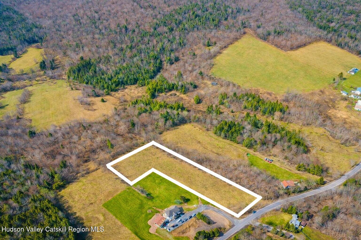 Tbd Hogg Mountain Road Fleischmanns, NY 12430 - Photo 8 of 22 #8
