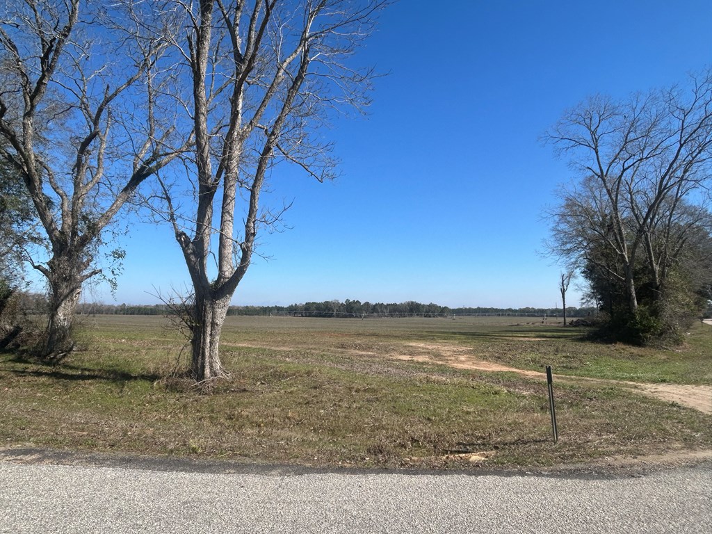 31.5-ac 31.5-ac Rammer Loop Road Dothan, AL 36301 - Photo 24 of 49