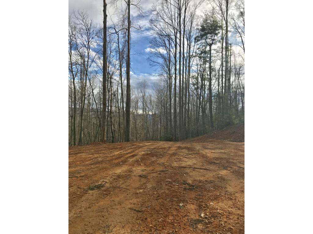 T B D Escape Mountain Road Hampton, TN 37658 - Photo 1 of 3 Photo 1