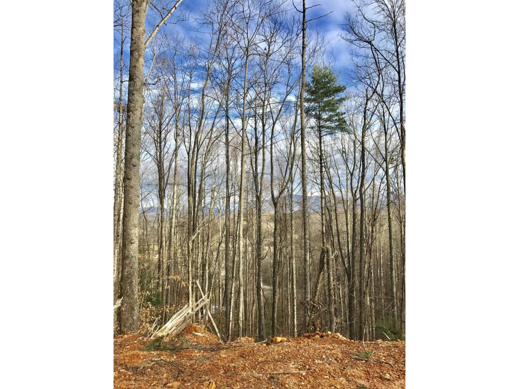 T B D Escape Mountain Road Hampton, TN 37658 - Photo 2 of 3 Photo 2