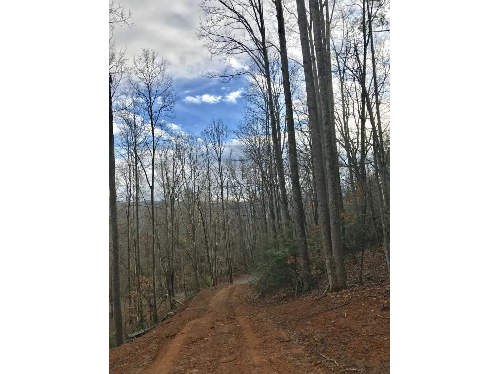 T B D Escape Mountain Road Hampton, TN 37658 - Photo 3 of 3 Photo 3