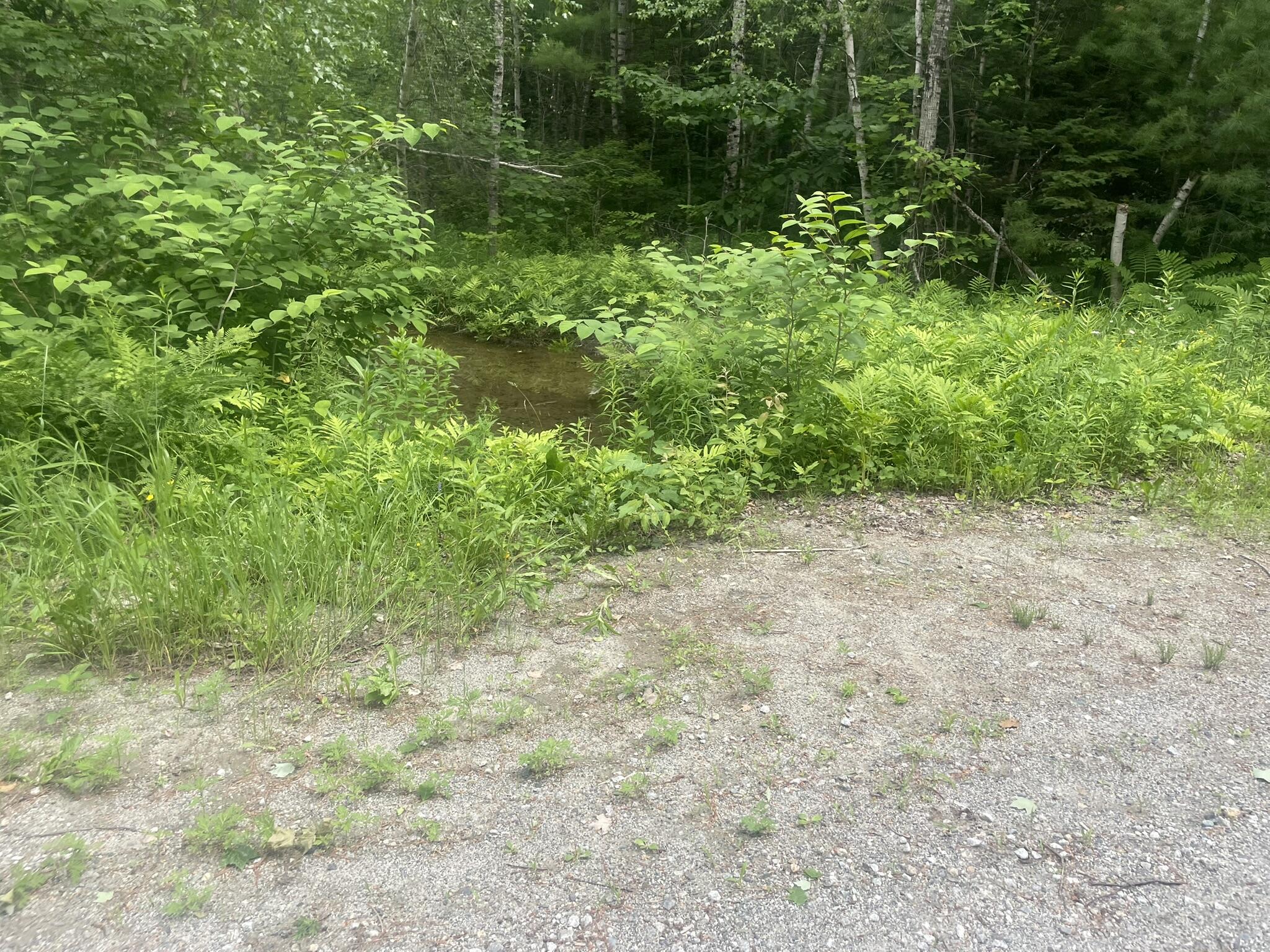 19 Swan Road New Sharon, ME 04955 - Photo 124 of 124 IMG_6329