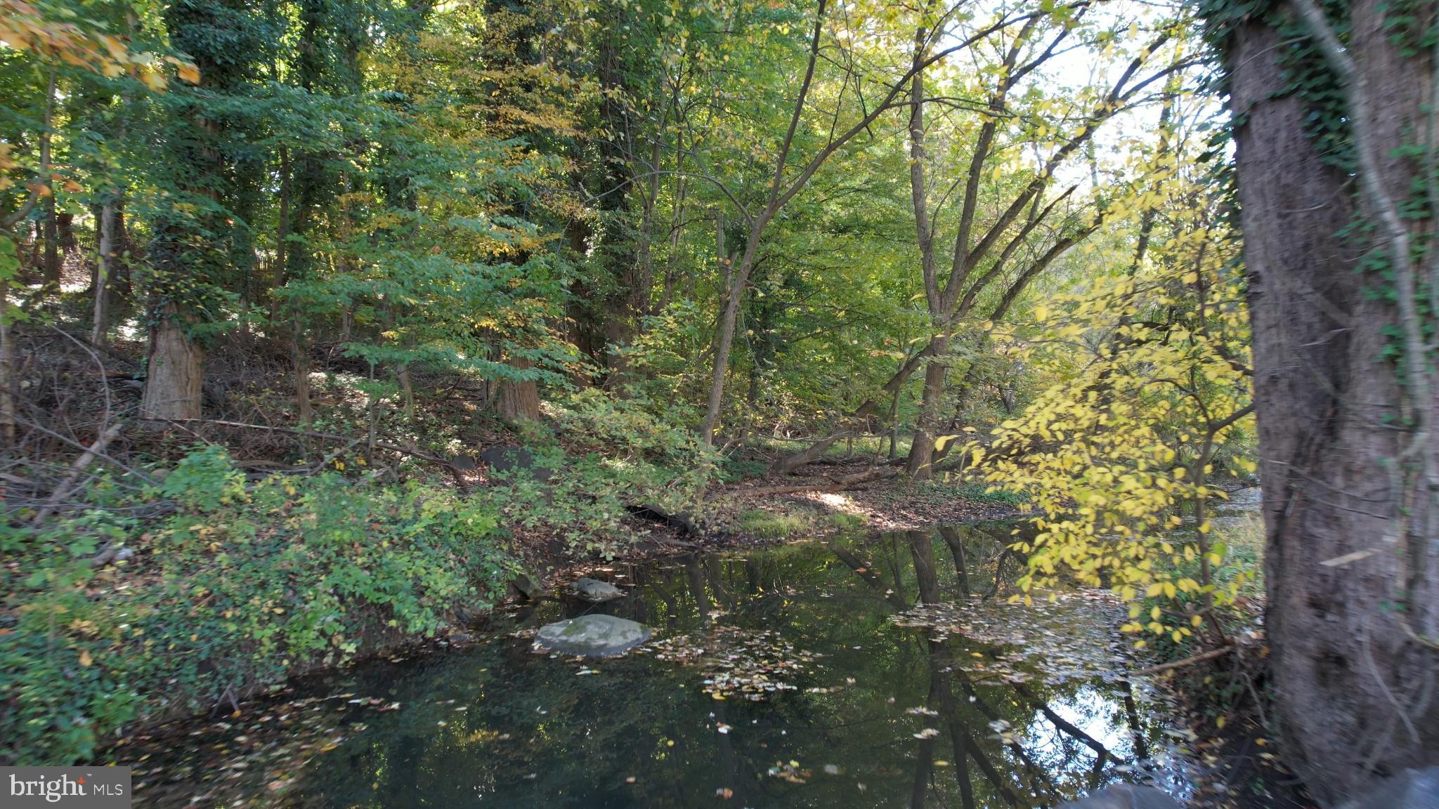 22 Scenic Road Springfield, PA 19064 - Photo 50 of 56 a view of a forest with lots of trees