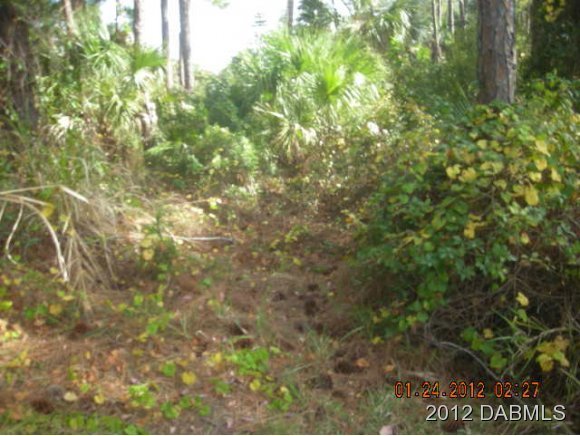 112 Godfrey Road Edgewater, FL 32141 - Photo 5 of 7 Additional Photo