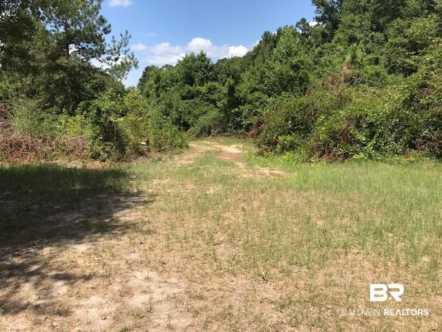 339 Blackburn Lane Brewton, AL 36426 - Photo 6 of 13 Land