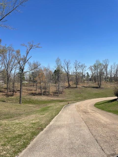 Woodbridge Drive Saltillo, MS 38866 - Photo 7 of 16 Gallery Image 7