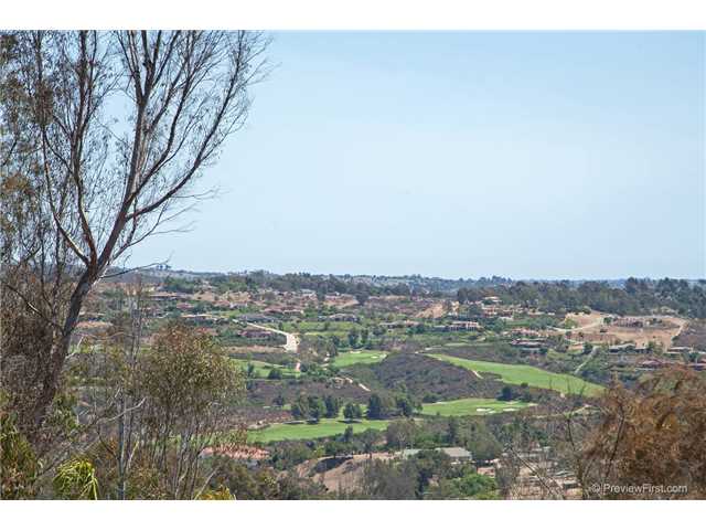 7722 Rancho Santa Fe View Court Rancho Santa Fe, CA 92067 - Photo 1 of 18