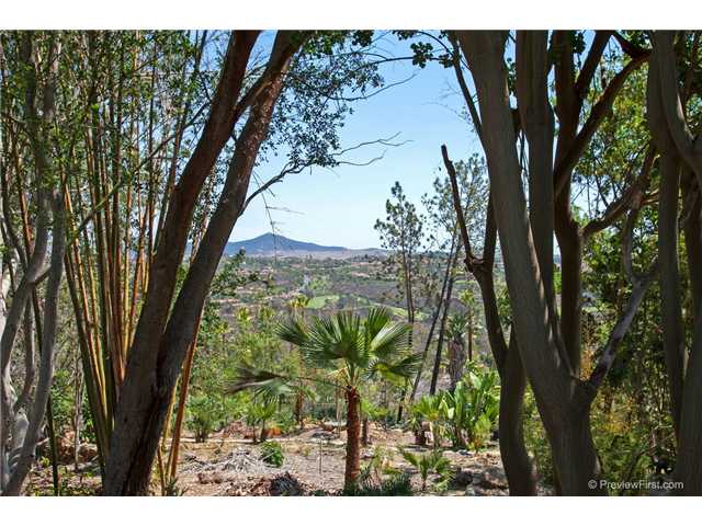 7722 Rancho Santa Fe View Court Rancho Santa Fe, CA 92067 - Photo 11 of 18