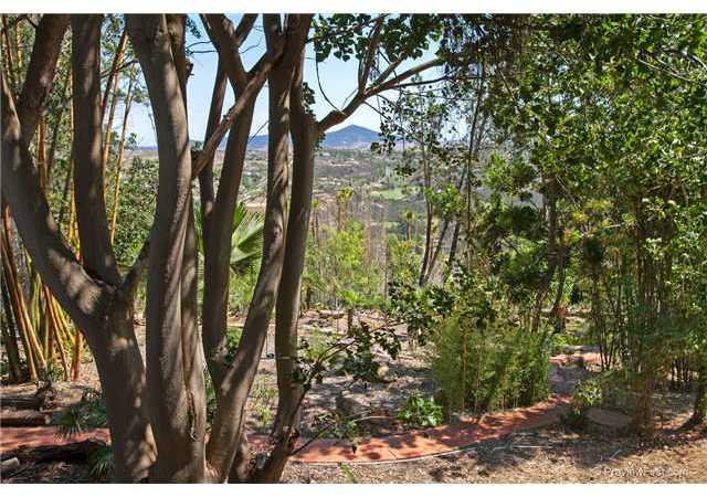 7722 Rancho Santa Fe View Court Rancho Santa Fe, CA 92067 - Photo 5 of 18
