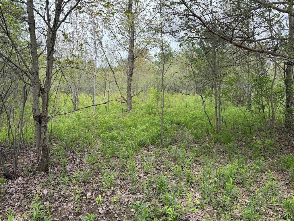 Reynolds Road Franklinville, NY 14737 - Photo 15 of 38