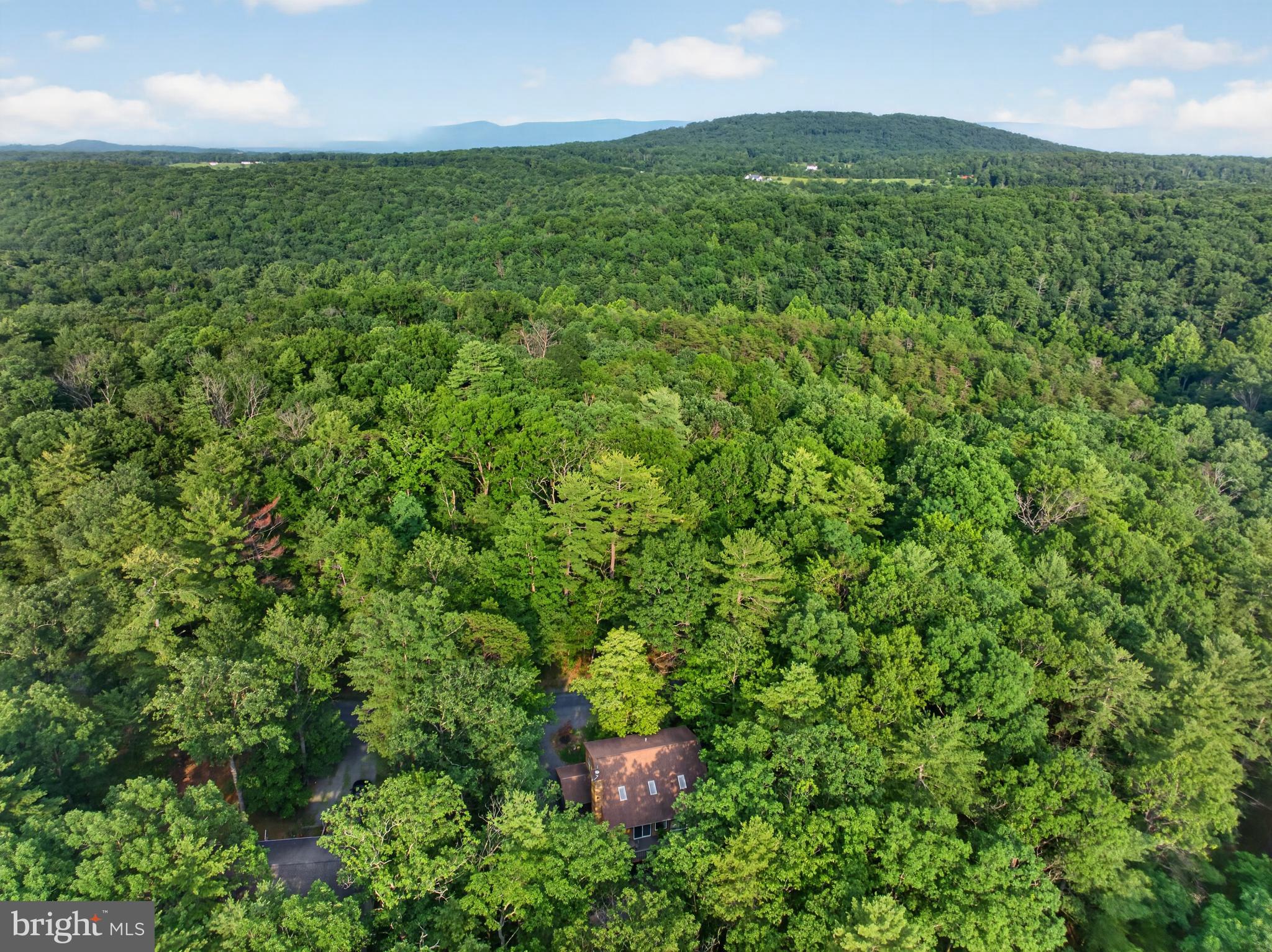 155 Beech Road Mount Jackson, VA 22842 - Photo 54 of 54