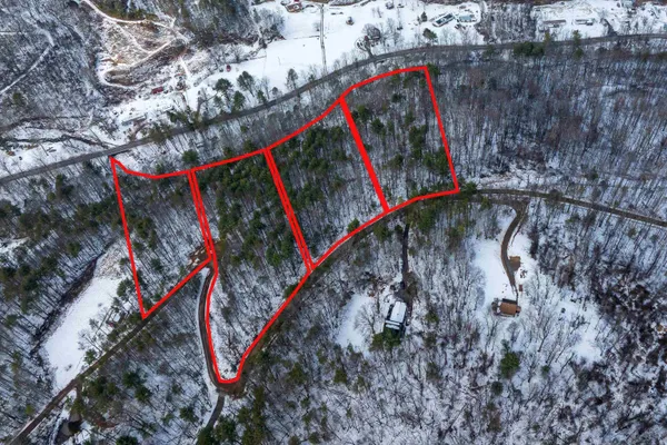 a view of stairs and flowers