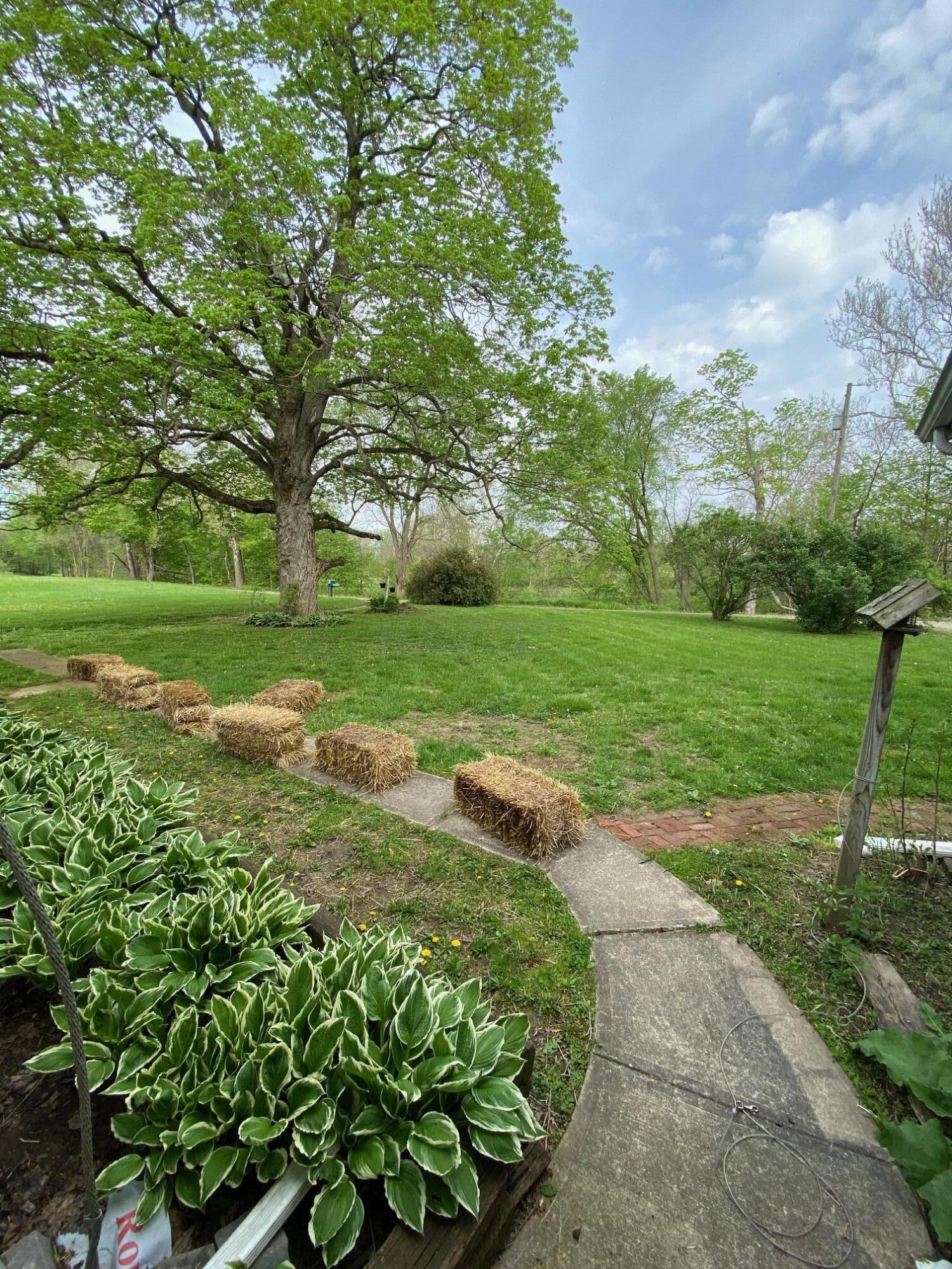 18164 Kraft Mill Road Fredericktown, OH 43019 - Photo 10 of 32 view from front door
