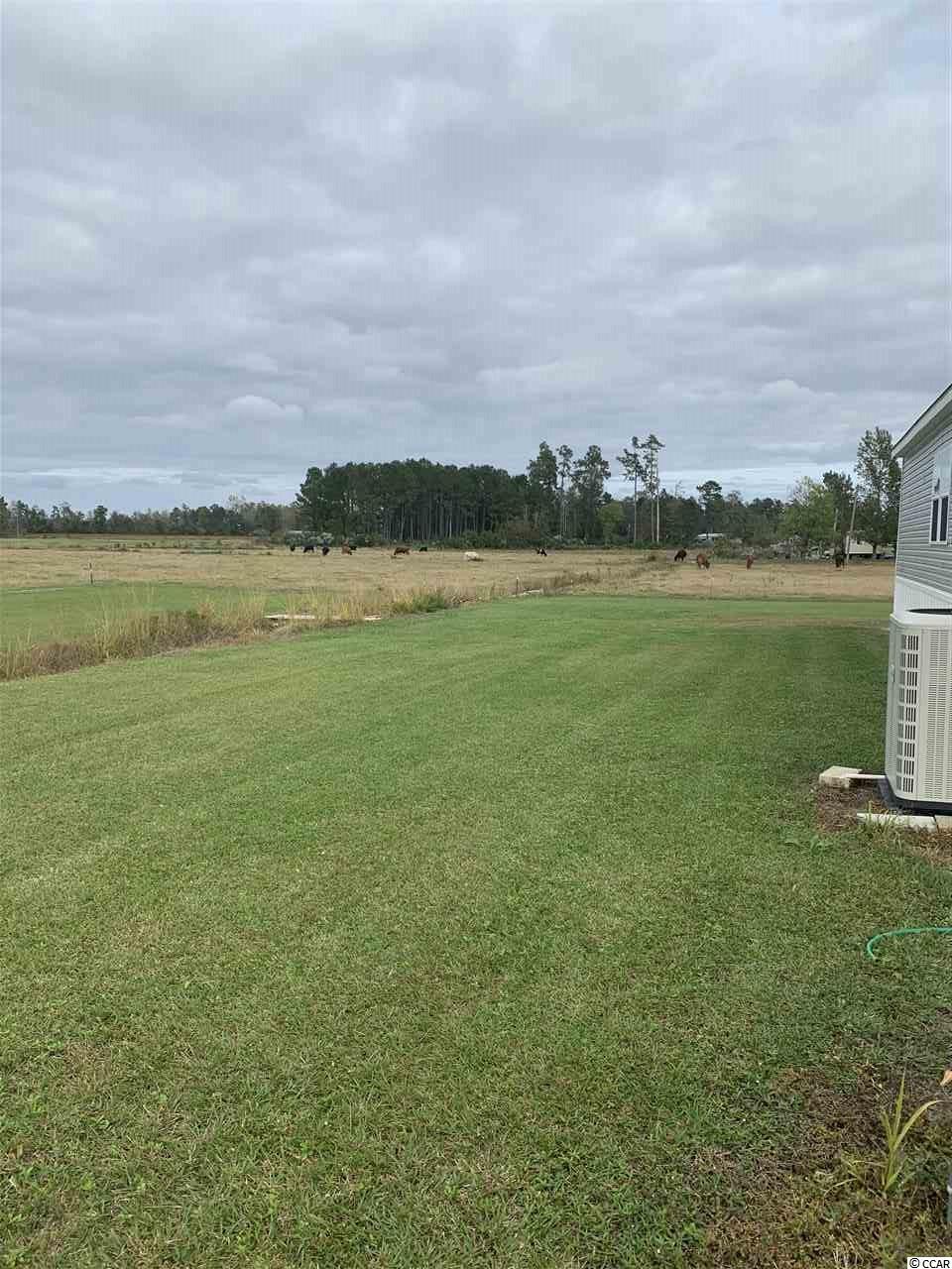 6180 Hampton Road Conway, SC 29527 - Photo 14 of 14 Gallery Image 14