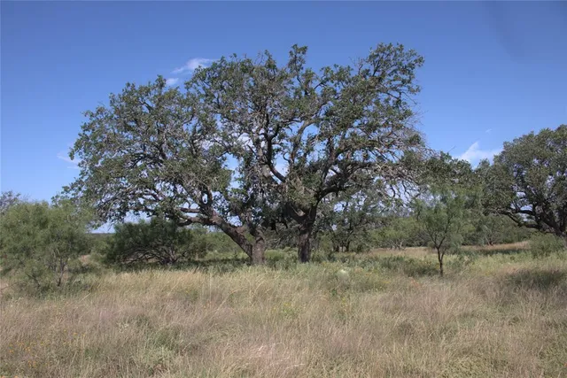 a view of lake with a tree in the background