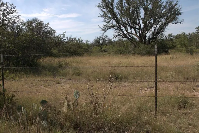 a view of a lake in middle of forest