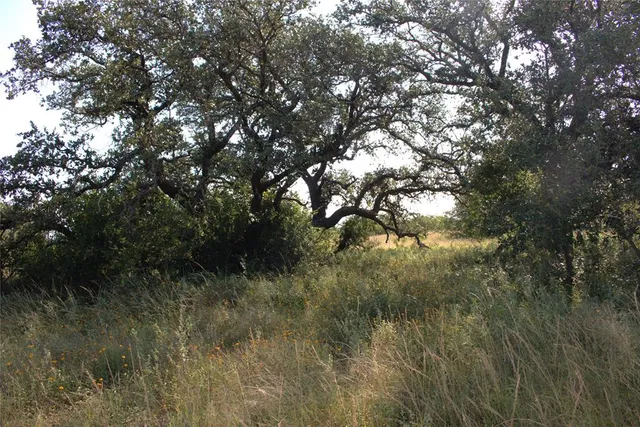 a view of a field of grass and trees